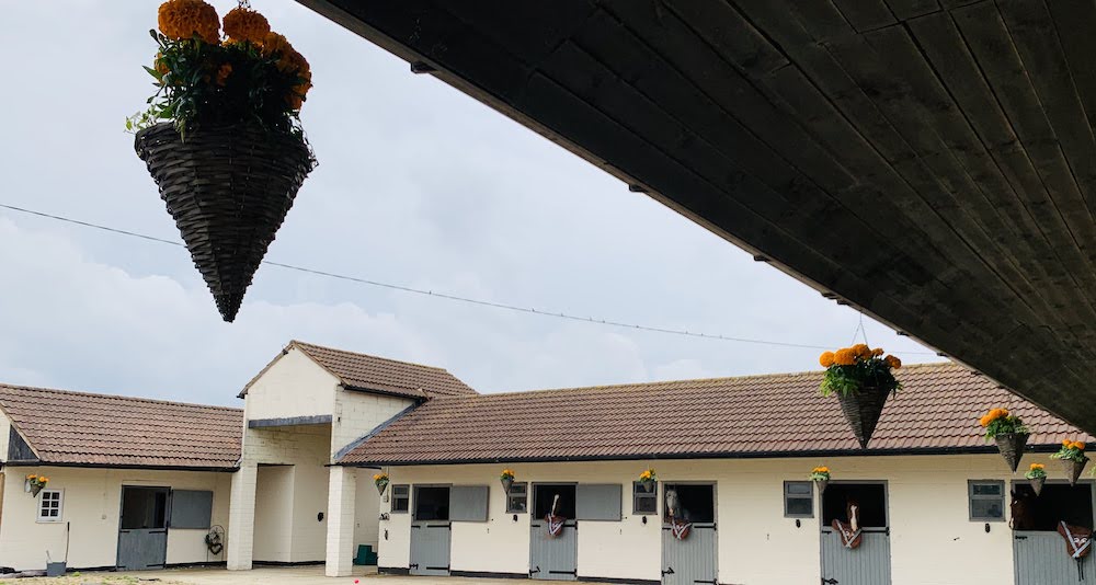 Arena Hire at Firs & Feathers Equestrian