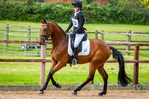 Chilli Versace Eventing