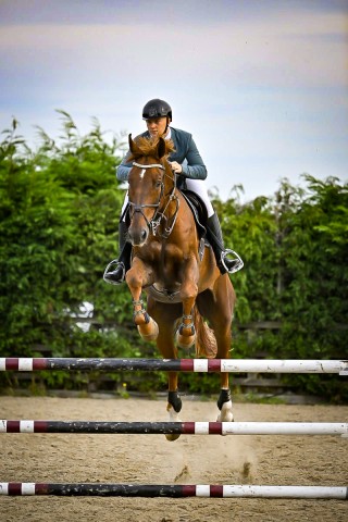 Forces Equine Championships