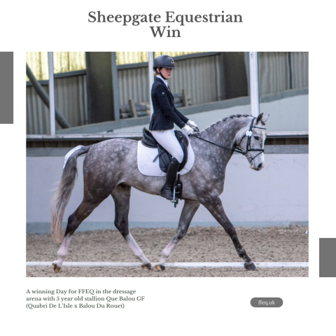 Winning Day at Sheepgate Equestrian