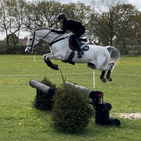 Cross Country Debut for Cosmic