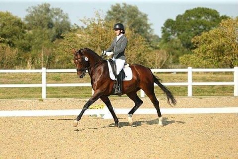 Dressage Clinic With BL Dressage!