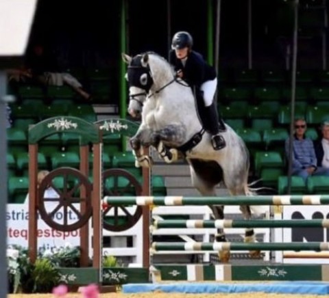 British Showjumping National Championships